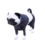 狗外观方案 2