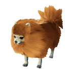 狗外观方案 4