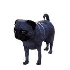 狗外观方案 6