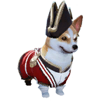 狗外观方案 3