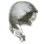 {{name}}