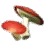 {{name}}