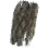 {{name}}