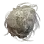 {{name}}