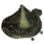 {{name}}