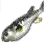 河豚