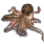 章魚