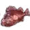 石狗公