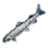 金板魚