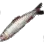 马口鱼