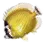 1}x 蝴蝶鱼