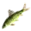 1}x 竹篙頭