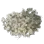 2}x 海盐
