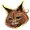 [宠物] 黎明山猫