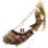 {{name}}